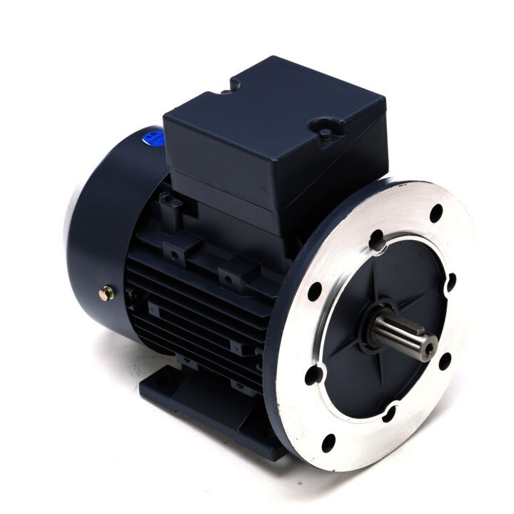 Obsolete Replaced by 192046.00..3/4HP-0.55kW..1200RPM.D80D.TEFC.230/460V.3PH.60HZ.CONT.40C..B3 / B5..............