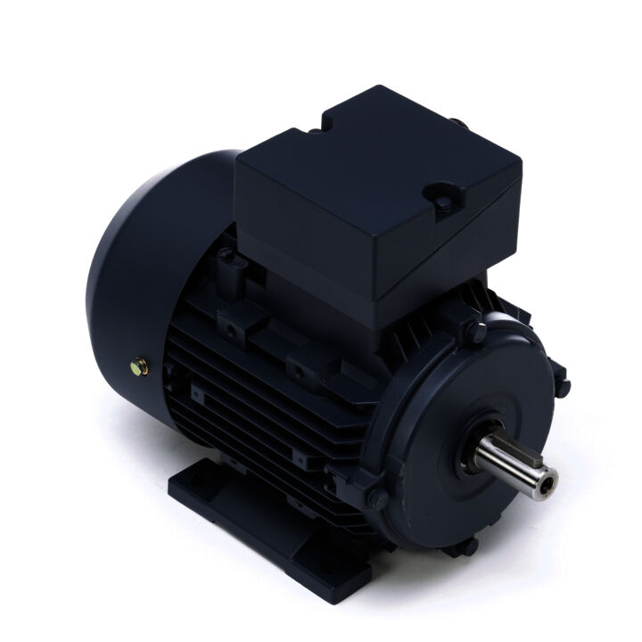Obsolete Replaced by 192041.00..3/4HP-0.55kW..1800RPM.D80.TEFC.230/460V.3PH.60HZ.CONT.40C..B3..............