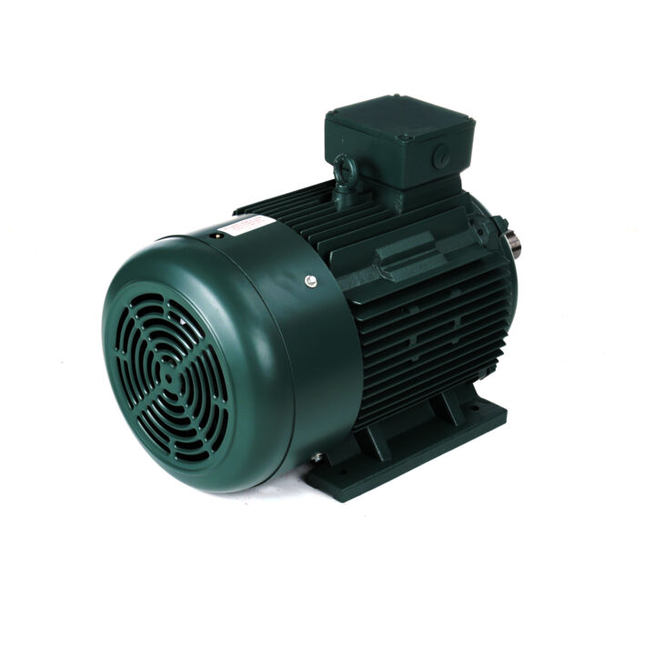 20 HP General Purpose, 3 phase, 1200 RPM, 230/460 V, 180L Frame, TEFC