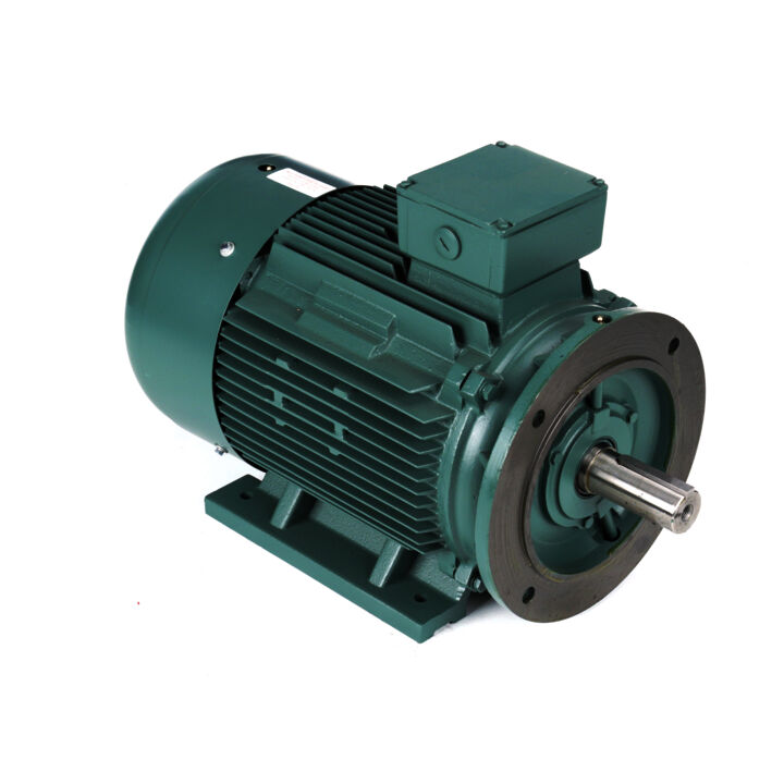 30 HP General Purpose, 3 phase, 1800 RPM, 230/460 V, 180L Frame, TEFC