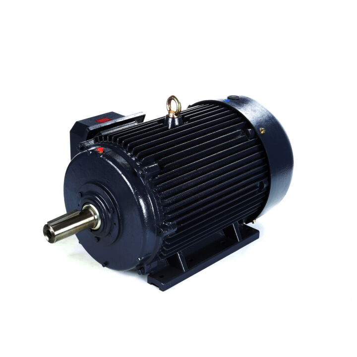 Other Purpose Motor, 75 & 60 HP, 3 Ph, 60 & 50 Hz, 230/460 & 190/380 V, 1800 & 1500 RPM, 365T Frame, TEFC