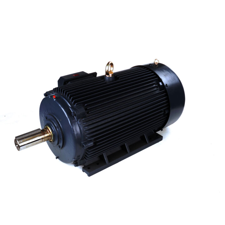 Other Purpose Motor, 250 & 200 HP, 3 Ph, 60 & 50 Hz, 460 & 380 V, 1800 & 1500 RPM, 447/449T Frame, TEFC