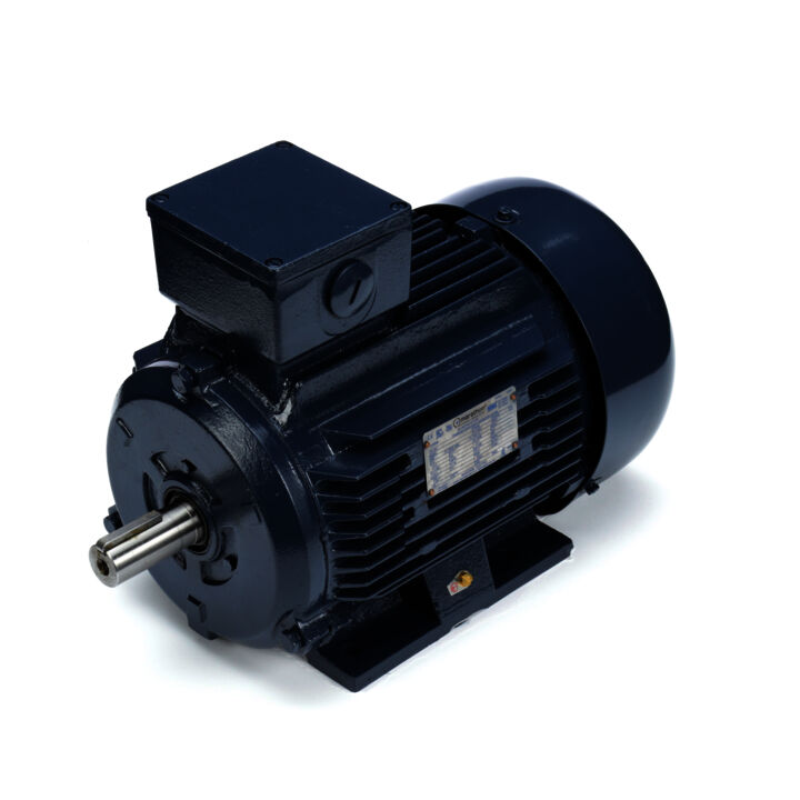 Cast Iron Motor, 3 & 2 HP, 3 Ph, 60 & 50 Hz, 230/460 & 200/400 V, 1800 & 1500 RPM, 100L Frame, TEFC