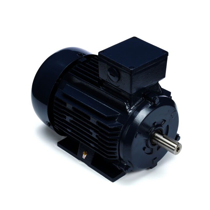 Cast Iron Motor, 3 & 2 HP, 3 Ph, 60 & 50 Hz, 230/460 & 200/400 V, 1800 & 1500 RPM, 100L Frame, TEFC
