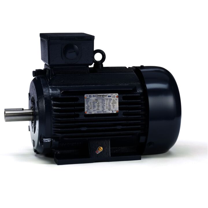Cast Iron Motor, 4 & 3 HP, 3 Ph, 60 & 50 Hz, 230/460 & 200/400 V, 1800 & 1500 RPM, 100L Frame, TEFC