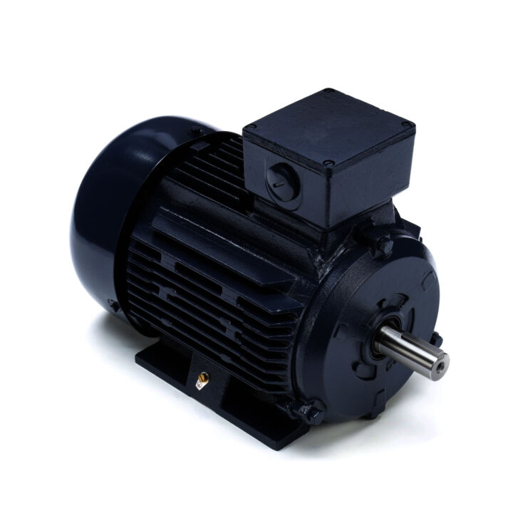 Cast Iron Motor, 4 & 3 HP, 3 Ph, 60 & 50 Hz, 230/460 & 200/400 V, 3600 & 3000 RPM, 100L Frame, TEFC