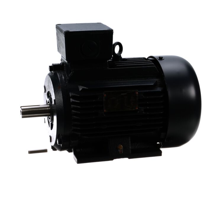Cast Iron Motor, 1.50 & 1 HP, 3 Ph, 60 & 50 Hz, 230/460 & 200/400 V, 1200 & 1000 RPM, 100L Frame, TEFC Cast Iron Motor, 1.50 & 1 HP, 3 Ph, 60 & 50 Hz, 230/460 & 200/400 V, 1200 & 1000 RPM, 100L Frame, TEFC