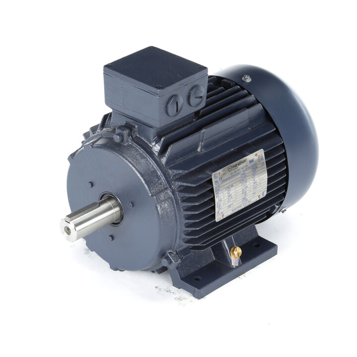 Cast Iron Motor, 4 & 3 HP, 3 Ph, 60 & 50 Hz, 230/460 & 200/400 V, 1200 & 1000 RPM, 132S Frame, TEFC