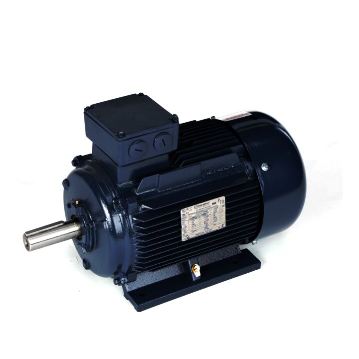Cast Iron Motor, 15 & 10 HP, 3 Ph, 60 & 50 Hz, 230/460 & 200/400 V, 1200 & 1000 RPM, 160L Frame, TEFC