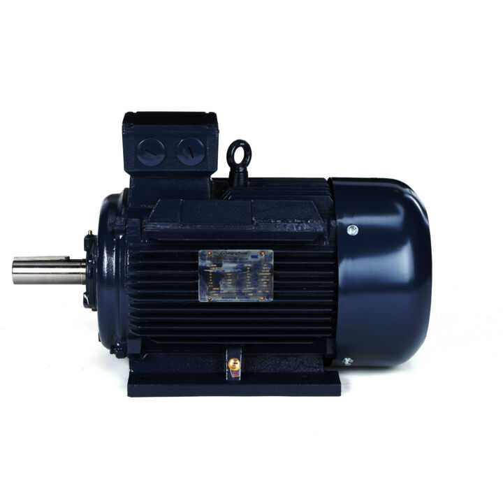 Cast Iron Motor, 15 & 10 HP, 3 Ph, 60 & 50 Hz, 230/460 & 200/400 V, 1200 & 1000 RPM, 160L Frame, TEFC