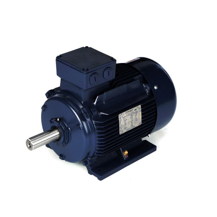 Cast Iron Motor, 25 & 20 HP, 3 Ph, 60 & 50 Hz, 230/460 & 200/400 V, 3600 & 3000 RPM, 160L Frame, TEFC