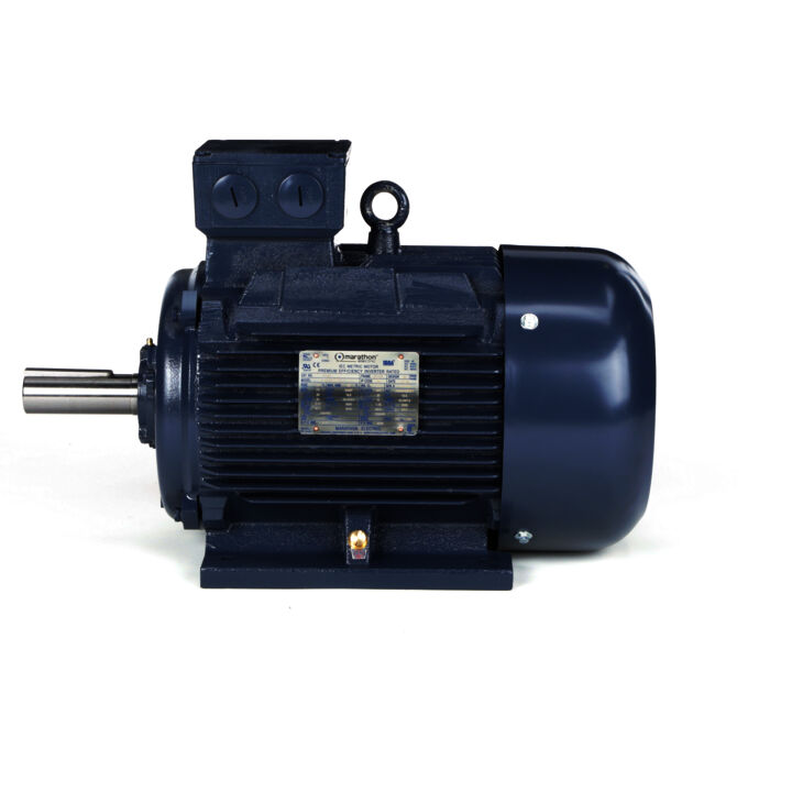 Cast Iron Motor, 25 & 20 HP, 3 Ph, 60 & 50 Hz, 230/460 & 200/400 V, 3600 & 3000 RPM, 160L Frame, TEFC