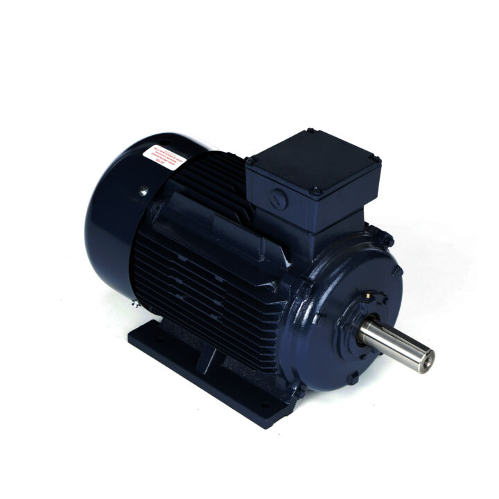 Cast Iron Motor, 15 & 10 HP, 3 Ph, 60 & 50 Hz, 230/460 & 200/400 V, 1200 & 1000 RPM, 160L Frame, TEFC