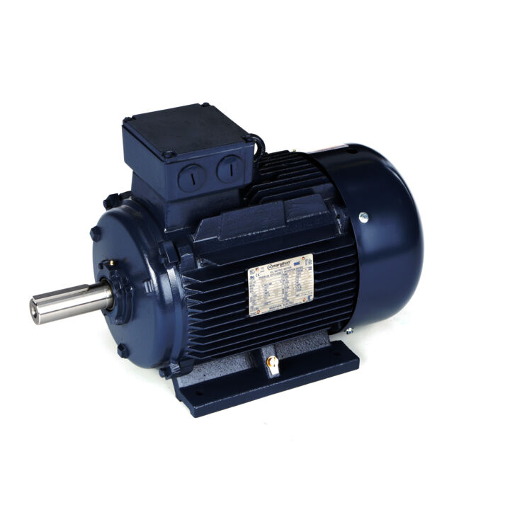 Cast Iron Motor, 25 & 20 HP, 3 Ph, 60 & 50 Hz, 230/460 & 200/400 V, 3600 & 3000 RPM, 160L Frame, TEFC