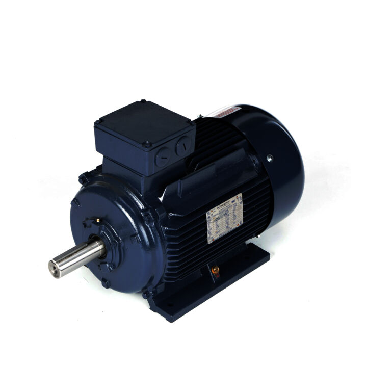 Cast Iron Motor, 15 & 10 HP, 3 Ph, 60 & 50 Hz, 230/460 & 200/400 V, 1200 & 1000 RPM, 160L Frame, TEFC