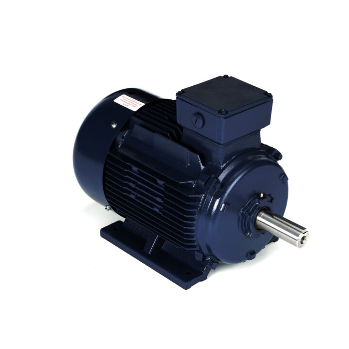 Cast Iron Motor, 25 & 20 HP, 3 Ph, 60 & 50 Hz, 230/460 & 200/400 V, 3600 & 3000 RPM, 160L Frame, TEFC