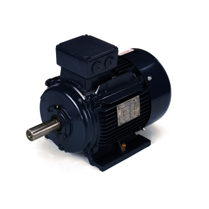 Cast Iron Motor, 10 & 7.50 HP, 3 Ph, 60 & 50 Hz, 230/460 & 200/400 V, 1200 & 1000 RPM, 160M Frame, TEFC