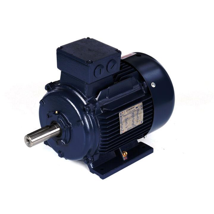 Cast Iron Motor, 15 & 10 HP, 3 Ph, 60 & 50 Hz, 230/460 & 200/400 V, 1800 & 1500 RPM, 160M Frame, TEFC