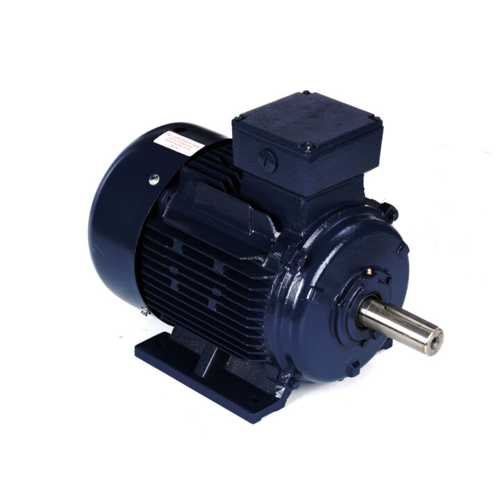 Cast Iron Motor, 15 & 10 HP, 3 Ph, 60 & 50 Hz, 230/460 & 200/400 V, 1800 & 1500 RPM, 160M Frame, TEFC