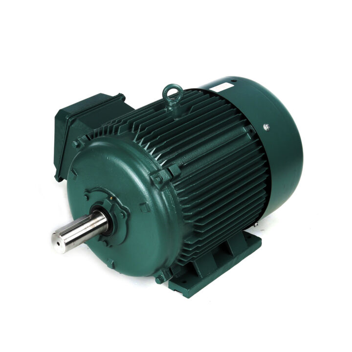 General Purpose Motor, 50 & 40 HP, 3 Ph, 60 & 50 Hz, 208-230/460 & 190/380 V, 1200 & 1000 RPM, 365T Frame, TEFC