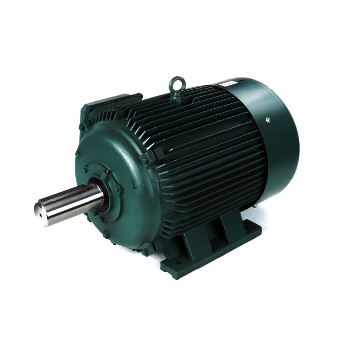 General Purpose Motor, 125 & 100 HP, 3 Ph, 60 & 50 Hz, 460 & 380 V, 1800 & 1500 RPM, 444T Frame, TEFC