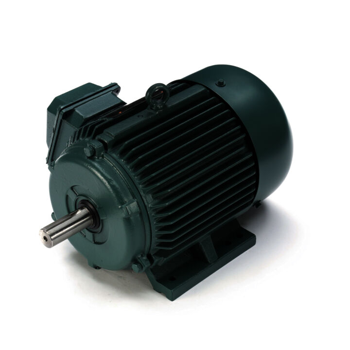 General Purpose Motor, 5 & 5 HP, 3 Ph, 60 & 50 Hz, 208-230/460 & 190/380 V, 1800 & 1500 RPM, 184T Frame, TEFC