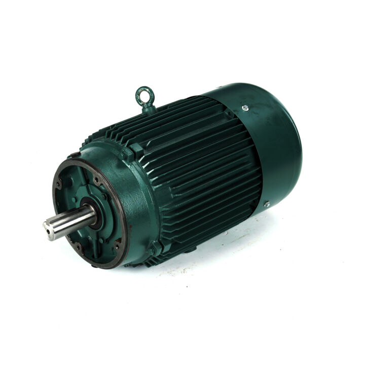 General Purpose Motor, 30 & 25 HP, 3 Ph, 60 & 50 Hz, 230/460 & 190/380 V, 1800 & 1500 RPM, 286TC Frame, TEFC