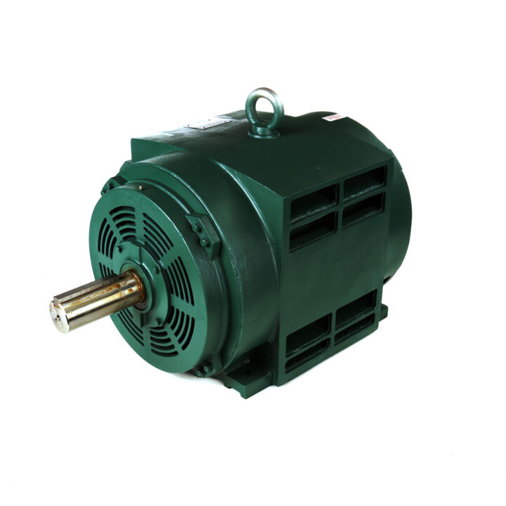 General Purpose Motor, 350 & 300 HP, 3 Ph, 60 & 50 Hz, 460 & 380 V, 1800 & 1500 RPM, 447T Frame, DP