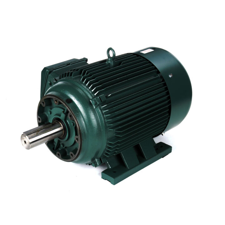 General Purpose Motor, 100 & 75 HP, 3 Ph, 60 & 50 Hz, 208-230/460 & 190/380 V, 1800 & 1500 RPM, 405TC Frame, TEFC