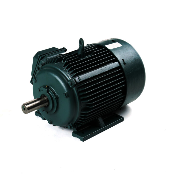 Severe Duty Motor, 15 & 10 HP, 3 Ph, 60 & 50 Hz, 208-230/460 & 190/380 V, 1800 & 1500 RPM, 254T Frame, TEFC