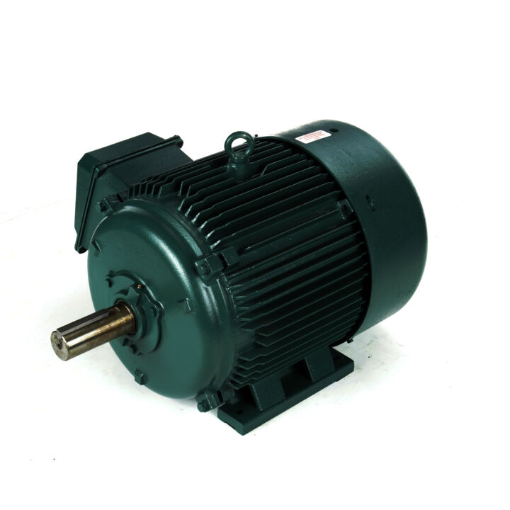 Severe Duty Motor, 60 & 50 HP, 3 Ph, 60 & 50 Hz, 208-230/460 & 190/380 V, 1800 & 1500 RPM, 364T Frame, TEFC