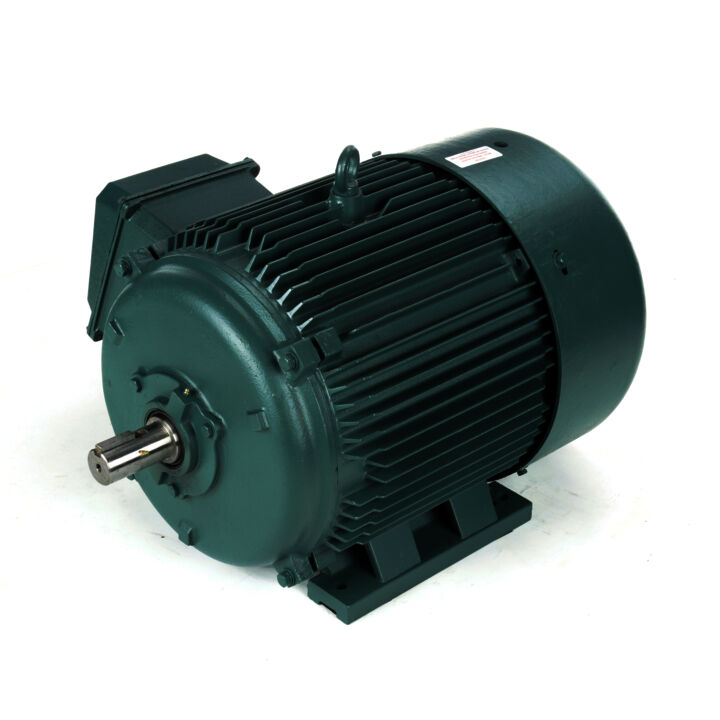 Severe Duty Motor, 75 & 60 HP, 3 Ph, 60 & 50 Hz, 208-230/460 & 190/380 V, 3600 & 3000 RPM, 365TS Frame, TEFC