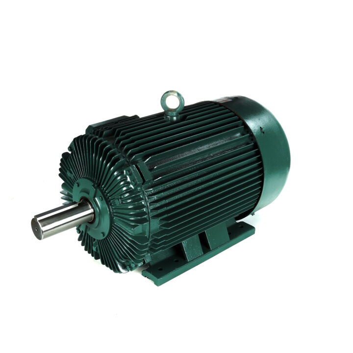 Severe Duty Motor, 150 & 125 HP, 3 Ph, 60 & 50 Hz, 460 & 380 V, 1200 & 1000 RPM, 447T Frame, TEFC