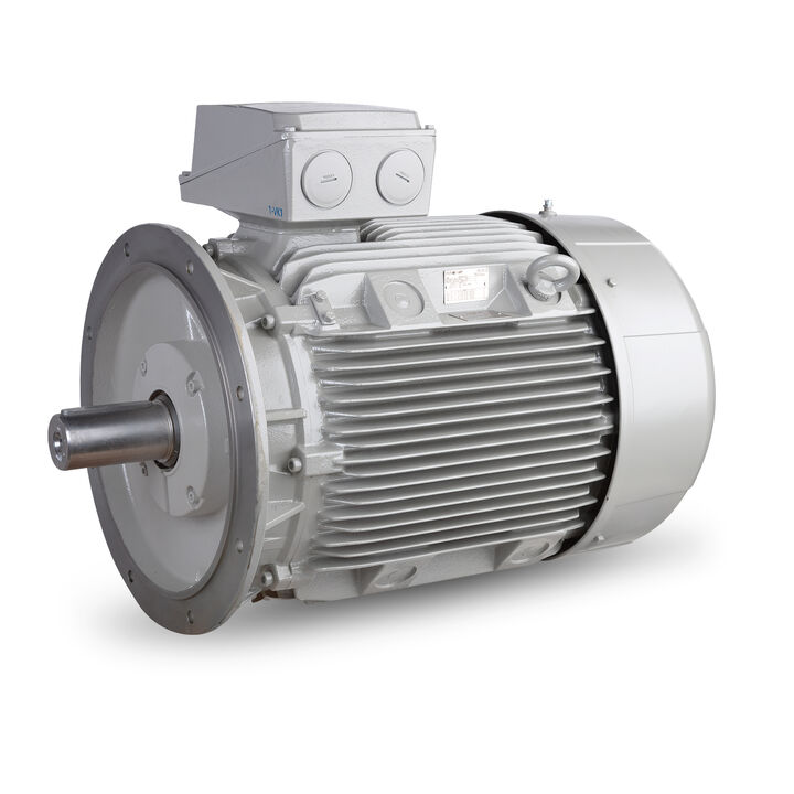 110.00 kW General Purpose Low Voltage IEC Motor IE3, 3 phase, 1500 rpm, D400/Y690V 50Hz, 280M Frame B5 incl. rain canopy, IC411