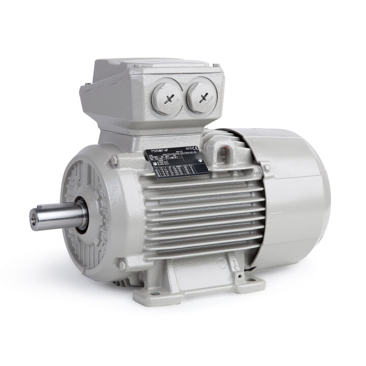 2.20 kW General Purpose Low Voltage IEC Motor IE3, 3 phase, 1000 rpm, D400/Y690V 50Hz, 100L Frame B3, IC411