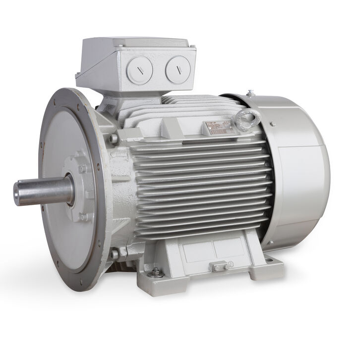 110.00 kW General Purpose Low Voltage IEC Motor IE3, 3 phase, 1000 rpm, D400/Y690V 50Hz, 315L Frame B35 incl. rain canopy, IC411