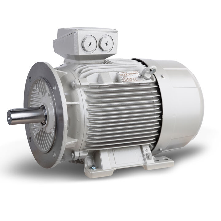 11.00 kW General Purpose Low Voltage IEC Motor IE3, 3 phase, 750 rpm, D400/Y690V 50Hz, 180L Frame B35, IC411