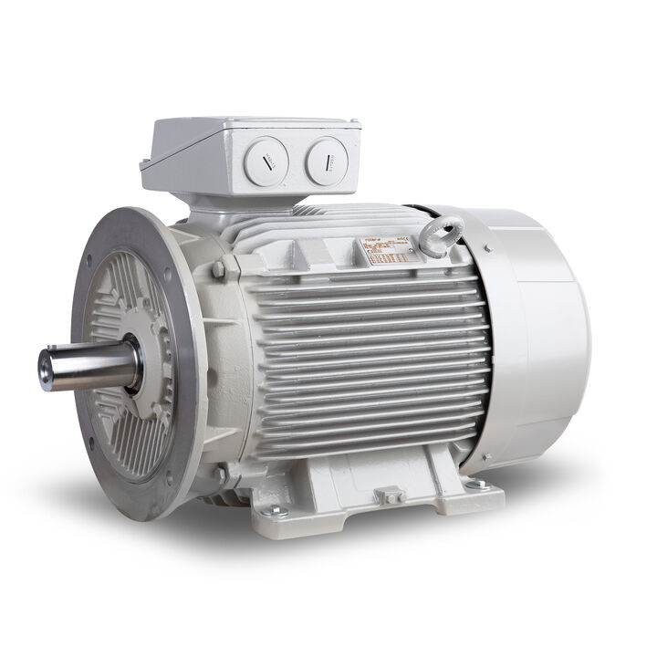 15.00 kW General Purpose Low Voltage IEC Motor IE3, 3 phase, 750 rpm, D400/Y690V 50Hz, 200L Frame B35, IC411