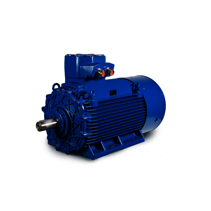 Made in Italy E3AC30 Series, General Purpose Low Voltage IEC motor IE3, Flameproof, 90,00kW, 3 phase, 990 RPM, D400/Y690V 50Hz, 315MA Frame B3, 6 Poles, IC411