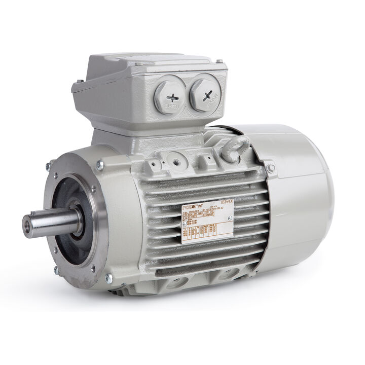 3.00 kW General Purpose Low Voltage IEC Motor IE3, 3 phase, 1500 rpm, D230/Y400V 50Hz, 100L Frame B14, IC411