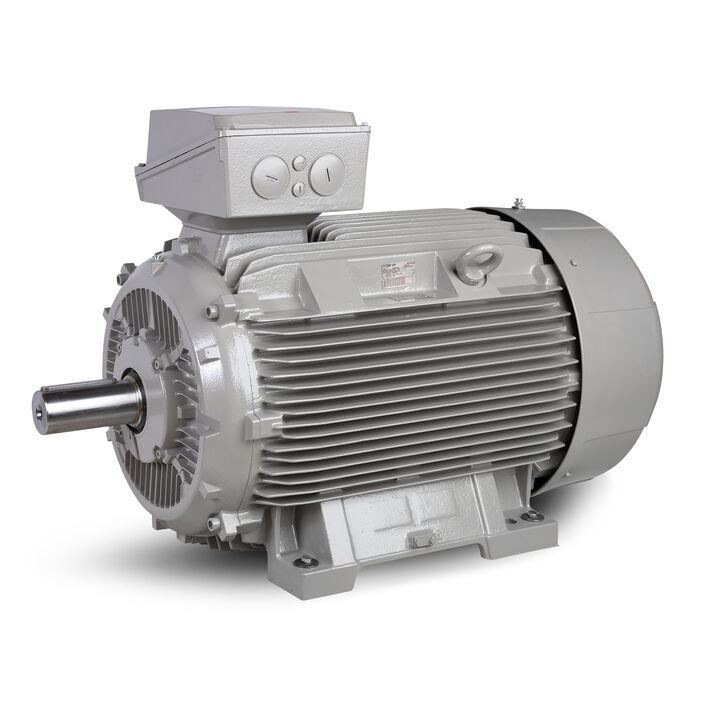 15.00 kW General Purpose Low Voltage IEC Motor IE3, 3 phase, 750 rpm, D400/Y690V 50Hz, 200L Frame B3, IC411