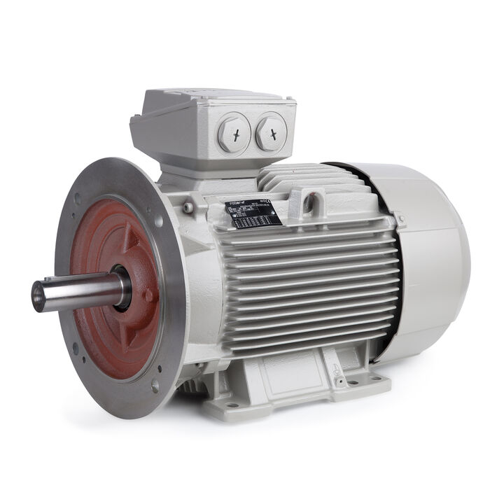 11.00 kW General Purpose Low Voltage IEC Motor IE3, 3 phase, 1000 rpm, D230/Y400V 50Hz, 160L Frame B35, IC411