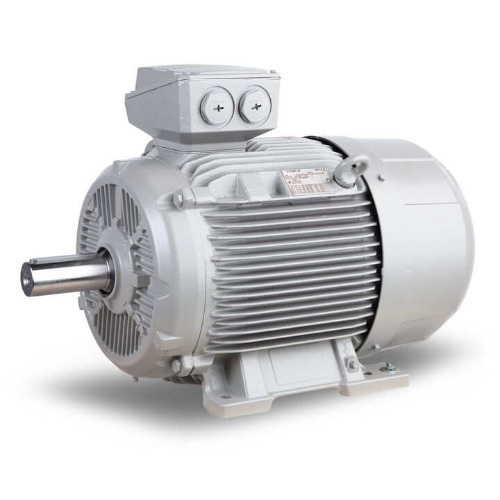 11.00 kW General Purpose Low Voltage IEC Motor IE3, 3 phase, 750 rpm, D400/Y690V 50Hz, 180L Frame B3, IC411
