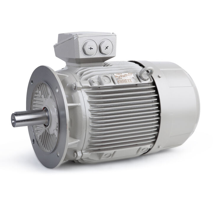 11.00 kW General Purpose Low Voltage IEC Motor IE3, 3 phase, 750 rpm, D400/Y690V 50Hz, 180L Frame B5 incl. rain canopy, IC411