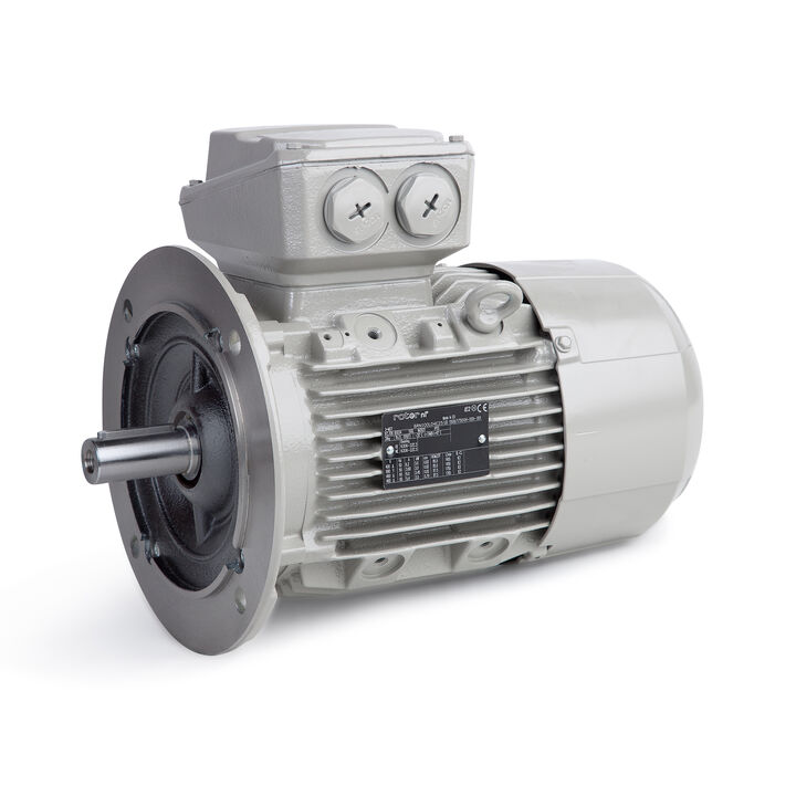 2.20 kW General Purpose Low Voltage IEC Motor IE3, 3 phase, 1000 rpm, D400/Y690V 50Hz, 100L Frame B5, IC411