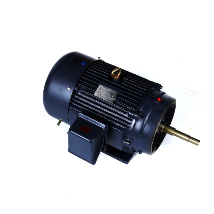 Close-Coupled Pump Motor, 25 & 20 HP, 3 Ph, 60 & 50 Hz, 230/460 & 190/380 V, 1200 & 1000 RPM, 324JPV Frame, TEFC