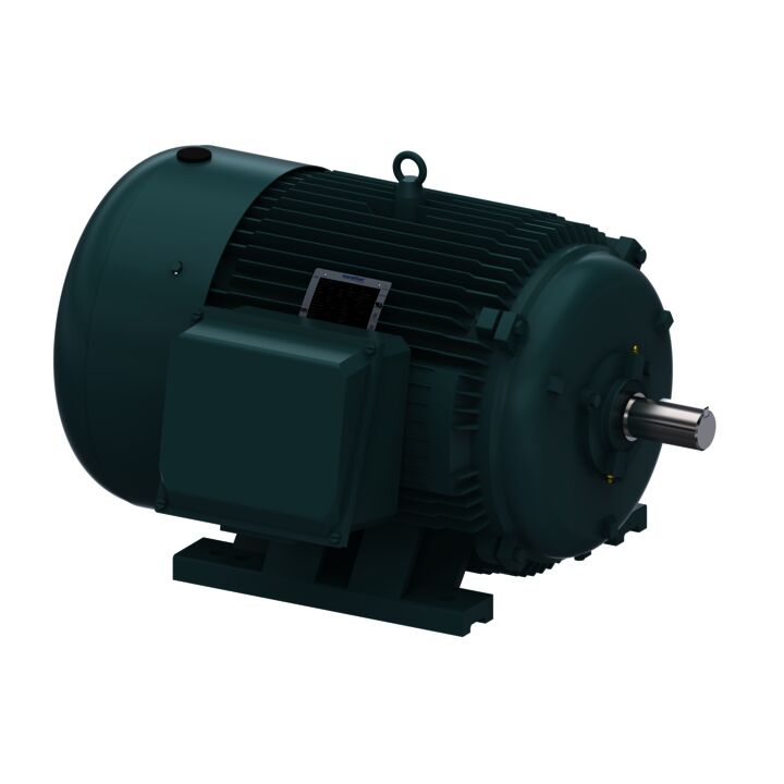 General Purpose Motor, 125 HP, 3 Ph, 60 Hz, 575 V, 3600 RPM, 444TS Frame, TEFC