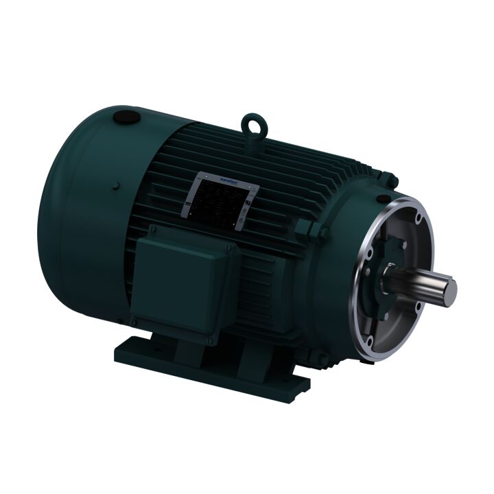 General Purpose Motor, 30 HP, 3 Ph, 60 Hz, 575 V, 1800 RPM, 286TC Frame, TEFC