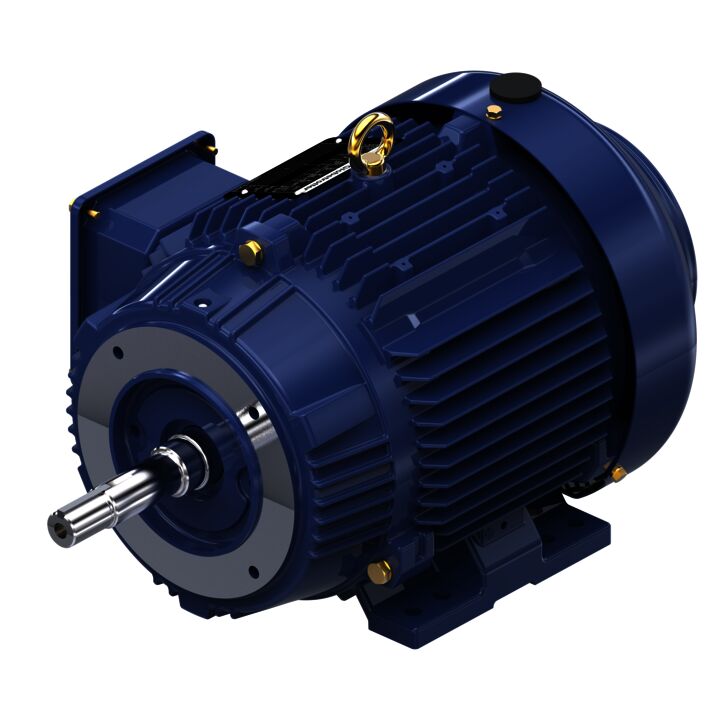 Close-Coupled Pump Motor, 5 & 3 HP, 3 Ph, 60 & 50 Hz, 230/460 & 190/380 V, 3600 & 3000 RPM, 184JM Frame, TEFC