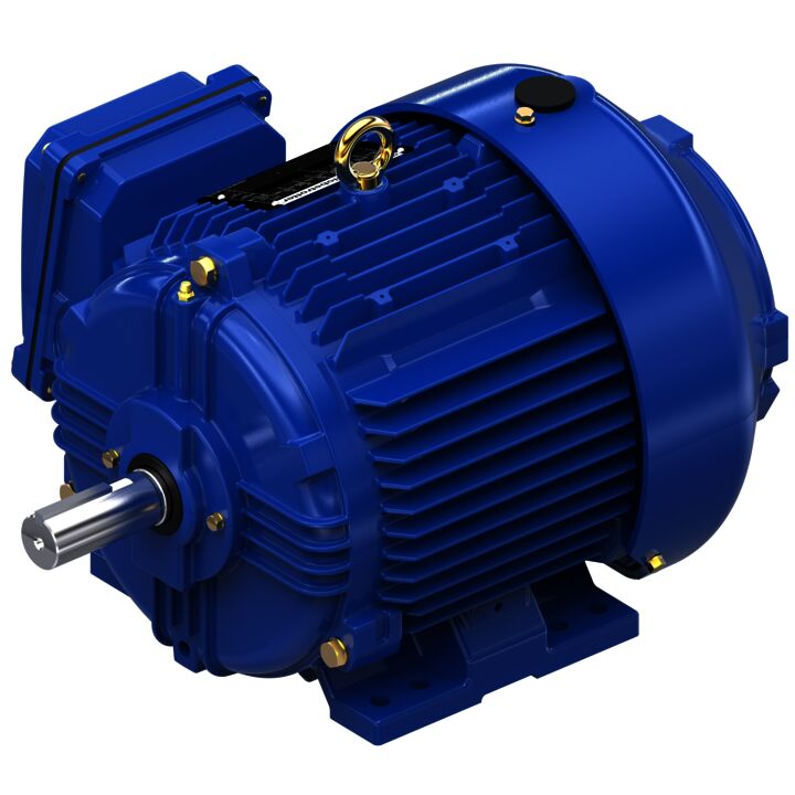 Severe Duty Motor, 1.50 HP, 3 Ph, 60 Hz, 460 V, 1200 RPM, 182T Frame, TEFC